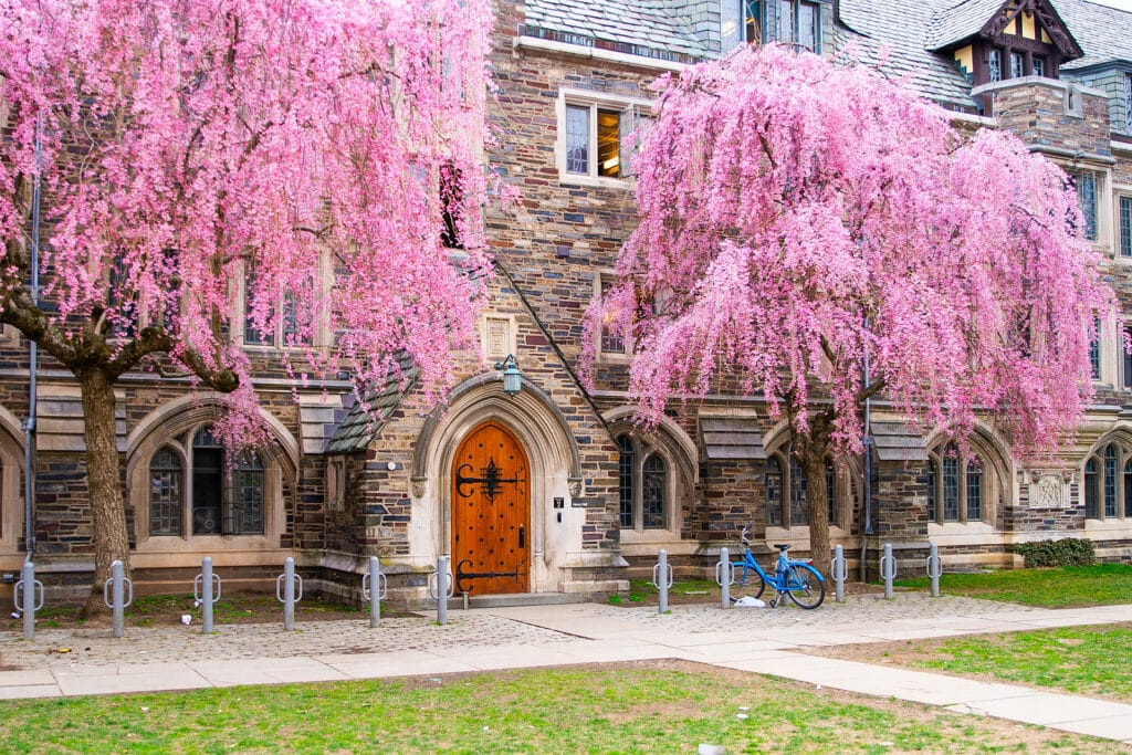 Home Care in Princeton NJ - View of Princeton University