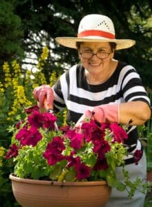 In-Home Care Bridgewater NJ - Starting a Garden with Your Loved One for National Garden Month