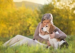 Senior Home Care Lakewood NJ - How Seniors Can Get Veterinarian Care For A Sick Pet