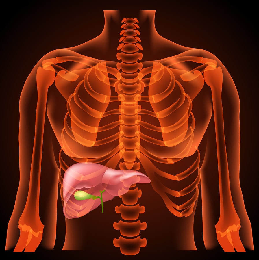 Senior Home Care Lakewood, NJ - Understanding Liver Health in Older Adults